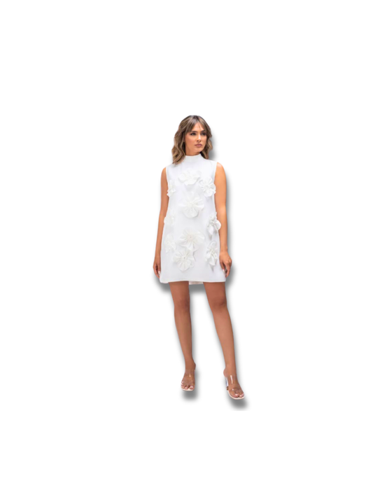 The Riviera Dream Dress