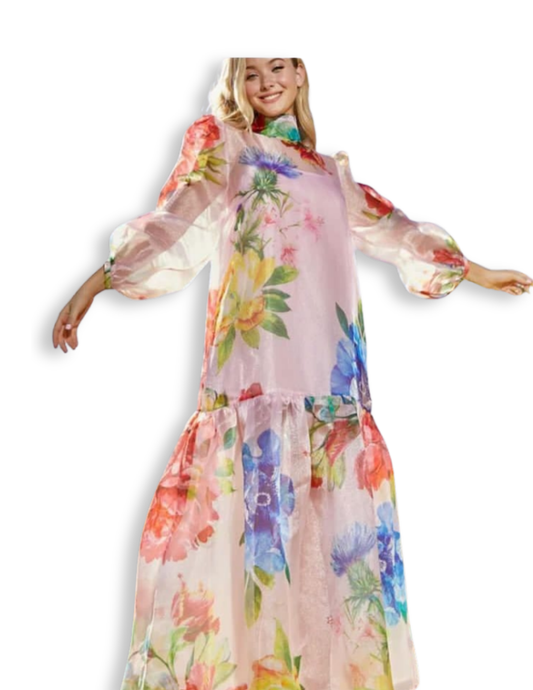 Celestial Bloom Sheer Maxi Dress